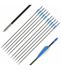 30" Fibreglass Arrows x 10